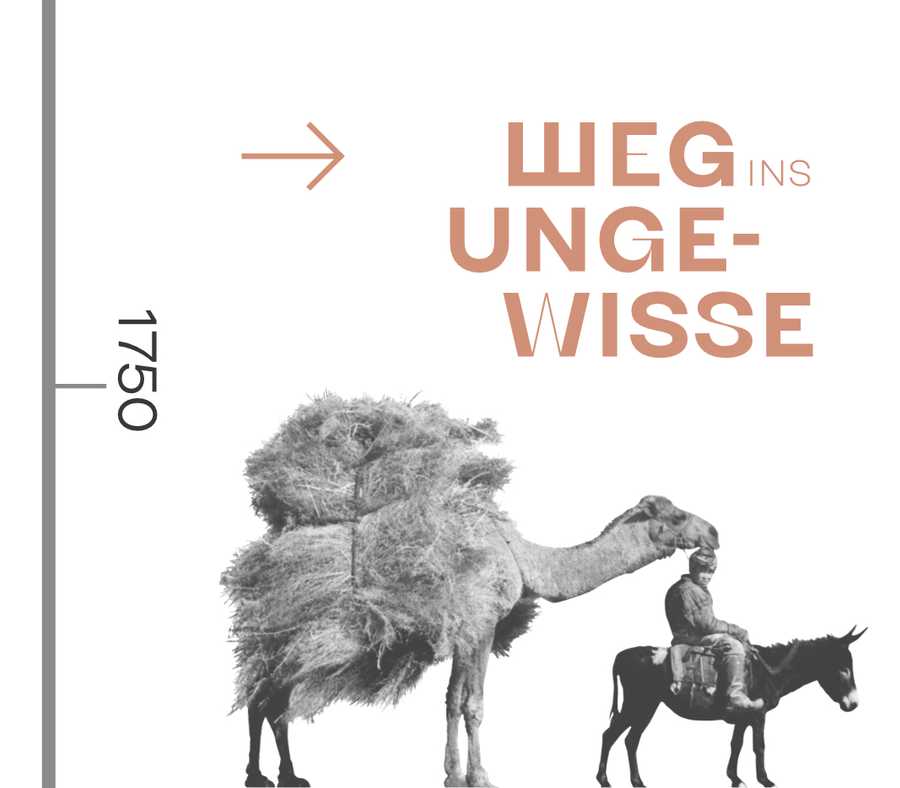 Weg ins Ungewisse